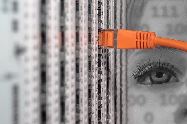 Cloud computing. Dynamics NAV. Vision data